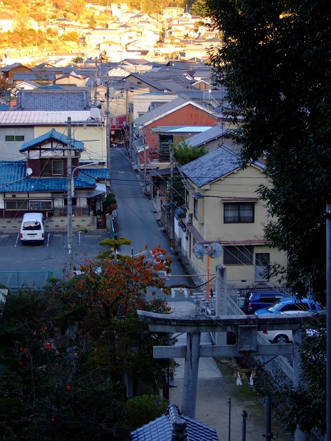 矢野尾崎神社の秋②矢野の街を望むパノラマ_b0095061_11475411.jpg
