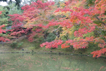 秋の京都_f0077662_21192529.jpg