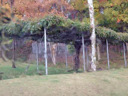 f0103062_23575230.jpg