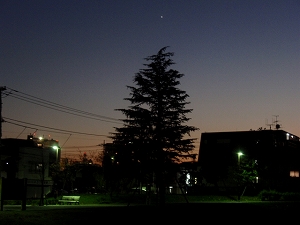 c0135363_11145141.jpg
