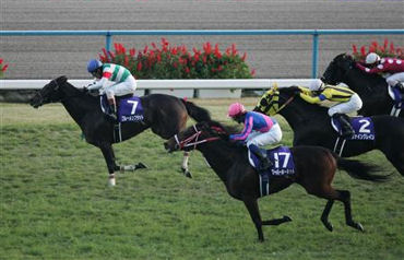 【競馬】秋は牝馬、ブルーメンブラットがＧ１初勝利_b0077271_19175280.jpg