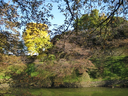 f0007772_21435895.jpg