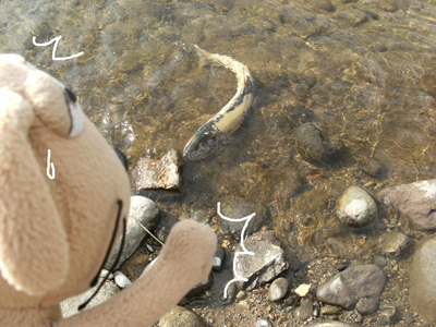 c0158573_14345447.jpg