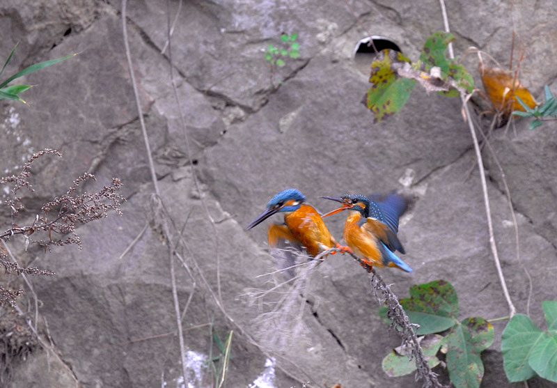 c0155479_8533633.jpg