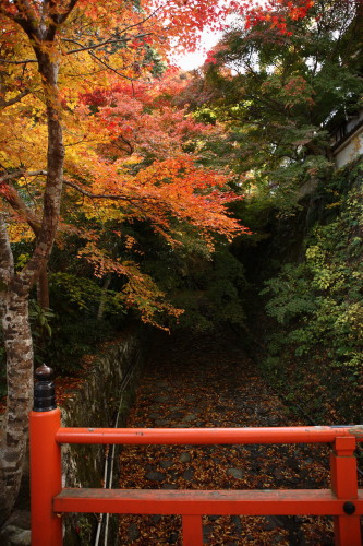 京都、大原_d0110380_22104929.jpg