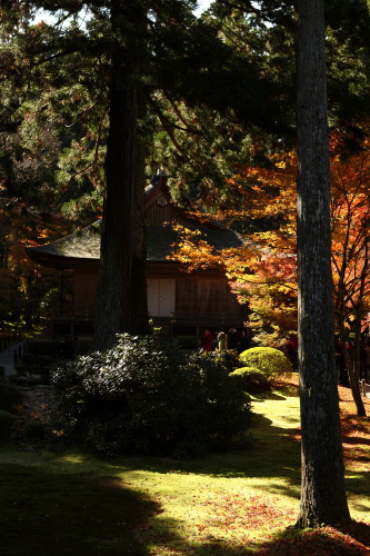 京都、大原_d0110380_22142323.jpg