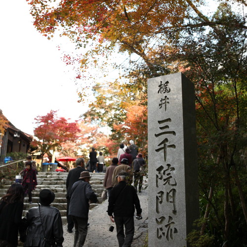 京都、大原_d0110380_2234391.jpg