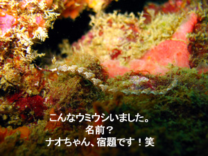 5年ぶりの復帰戦はいかに!?_f0144385_2355405.jpg
