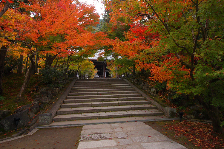 京都の紅葉名所めぐり_e0051888_3361445.jpg