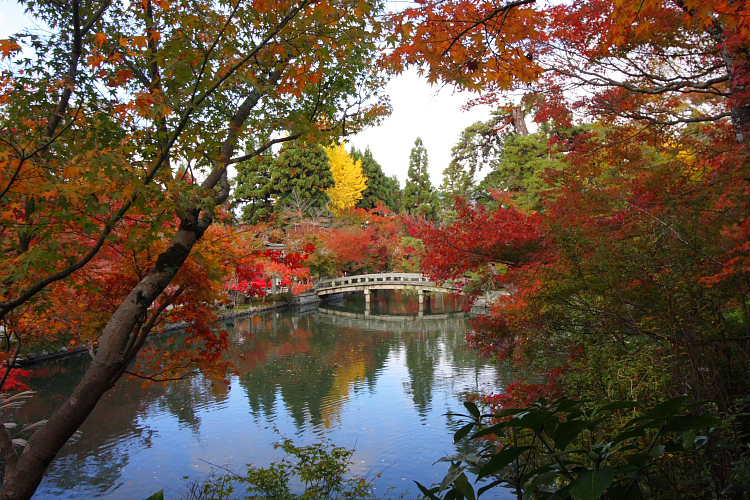 京都の紅葉名所めぐり_e0051888_3371466.jpg