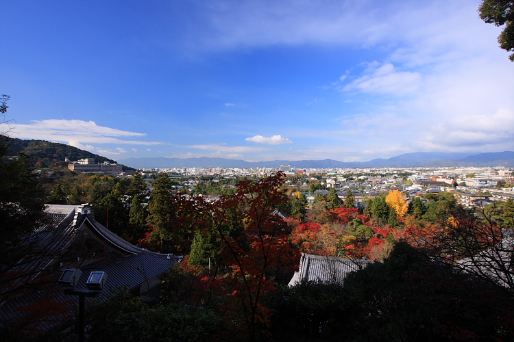 京都の紅葉名所めぐり_e0051888_3385541.jpg