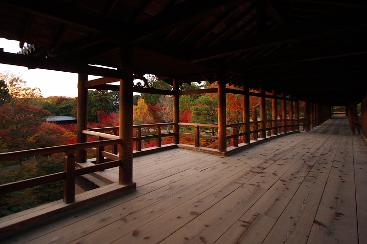 京都の紅葉名所めぐり_e0051888_3394720.jpg