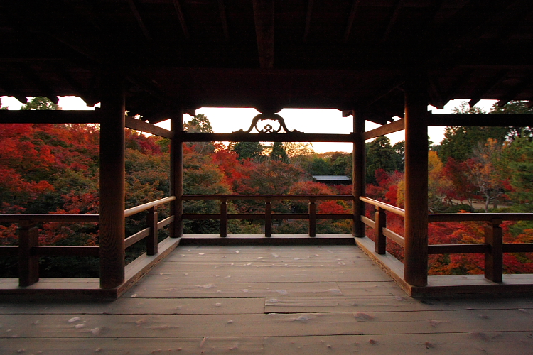 京都の紅葉名所めぐり_e0051888_3402675.jpg