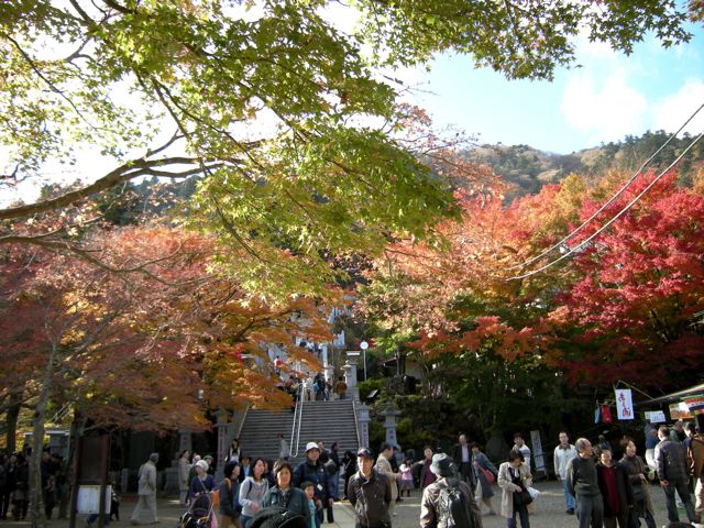 a0064290_2127937.jpg