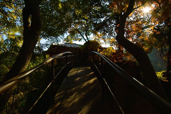 c0124795_19332651.jpg