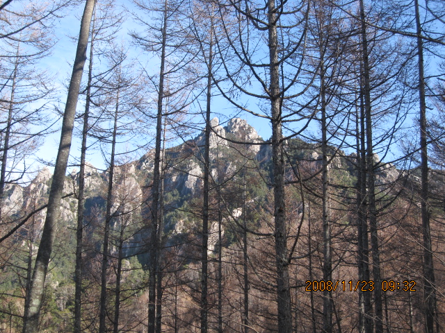 c0133096_21432634.jpg