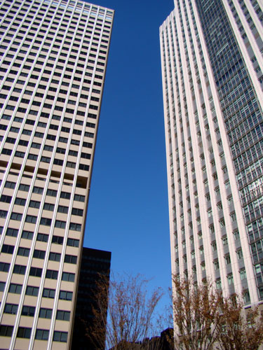 a0047200_10204384.jpg