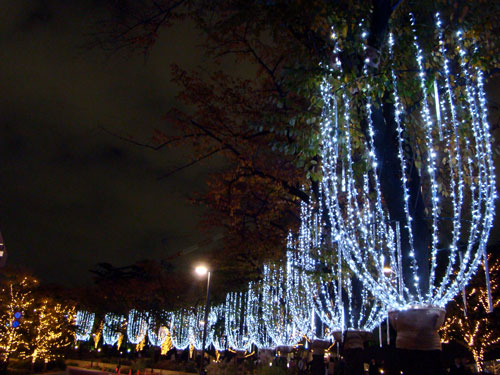 a0047200_20435326.jpg