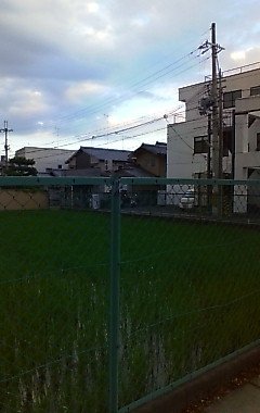 d0121300_20121386.jpg