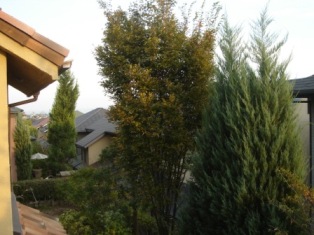 b0128101_1652940.jpg