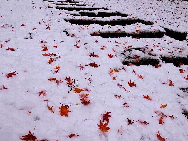 c0008502_2221107.jpg