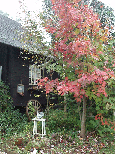 c0129702_23141988.gif