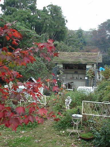 c0129702_231433100.gif