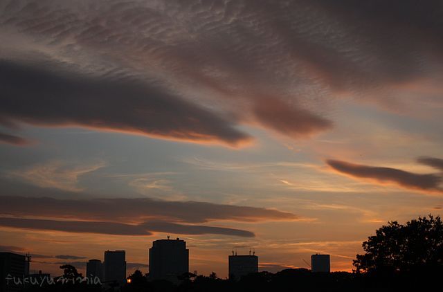 東京-Sunset-01_f0185802_16393557.jpg