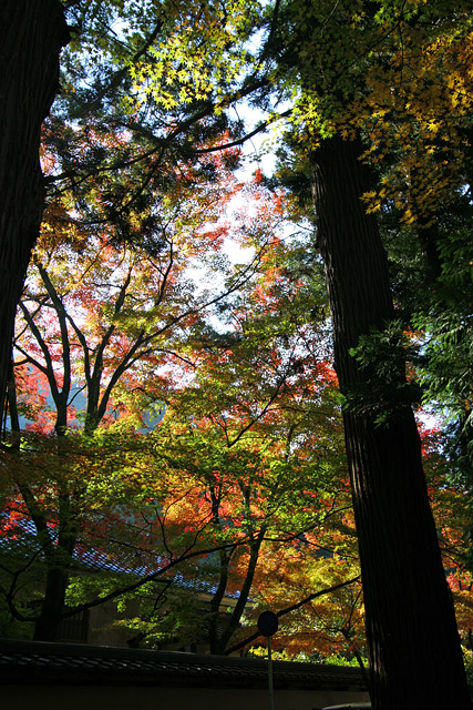 佛通寺_c0067303_20332055.jpg