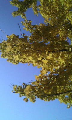 c0128303_0363330.jpg