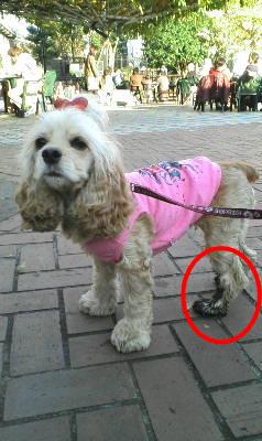 c0128303_0395035.jpg