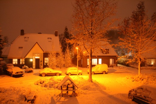 オランダ南部は、雪です！_c0071305_415743.jpg