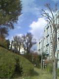 a0098307_12543648.jpg