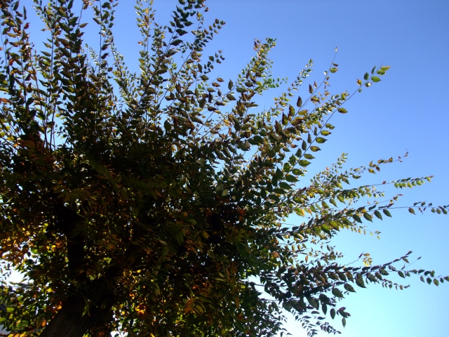c0156908_23113987.jpg