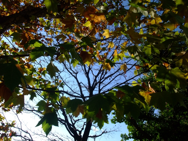 c0156908_23165711.jpg