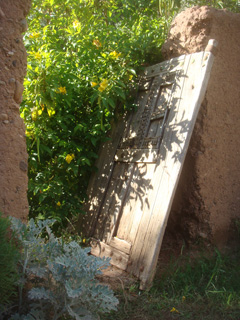 d0126508_1285727.jpg