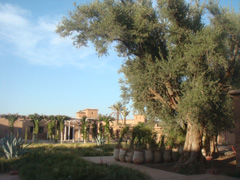d0126508_1331283.jpg
