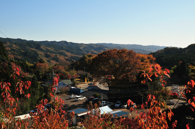 竜神大吊橋から　－茨城県常陸太田市－_f0149209_8491217.jpg