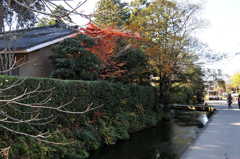 湯布院~九重夢吊り橋~日田の旅_a0042310_20225652.jpg