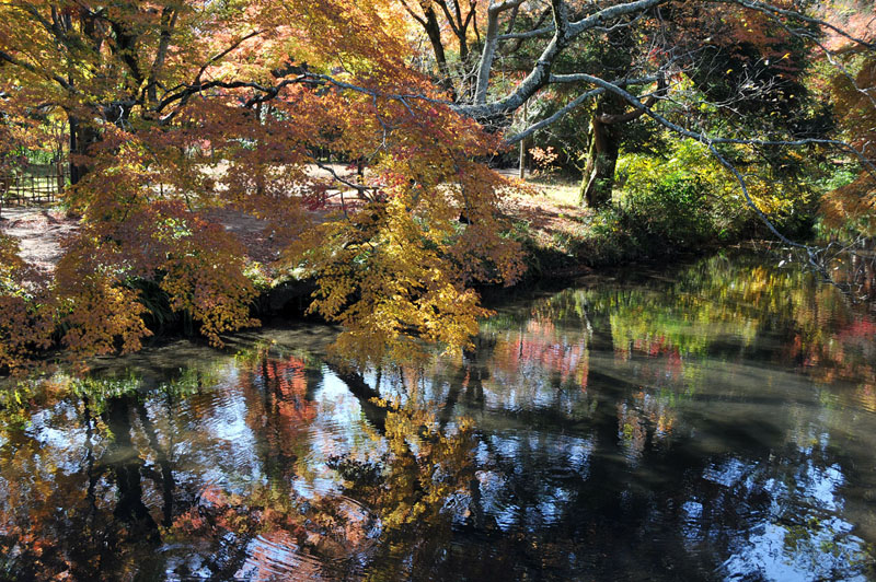 湯布院~九重夢吊り橋~日田の旅_a0042310_20283292.jpg