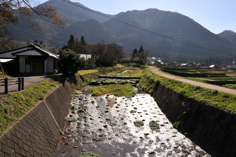 湯布院~九重夢吊り橋~日田の旅_a0042310_20363914.jpg