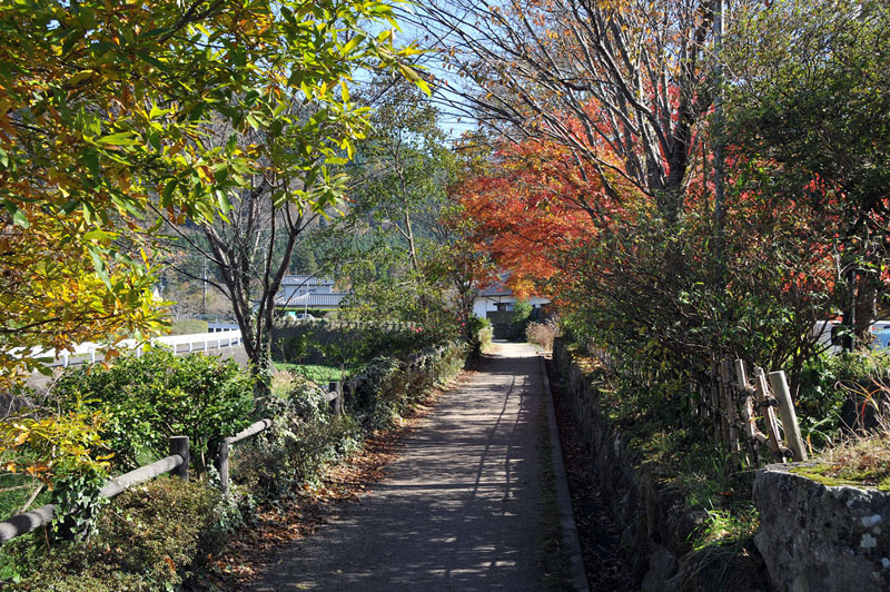 湯布院～九重夢吊り橋～日田の旅_a0042310_204110100.jpg