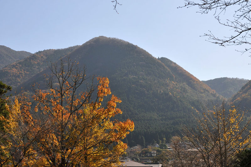 湯布院~九重夢吊り橋~日田の旅_a0042310_20451513.jpg