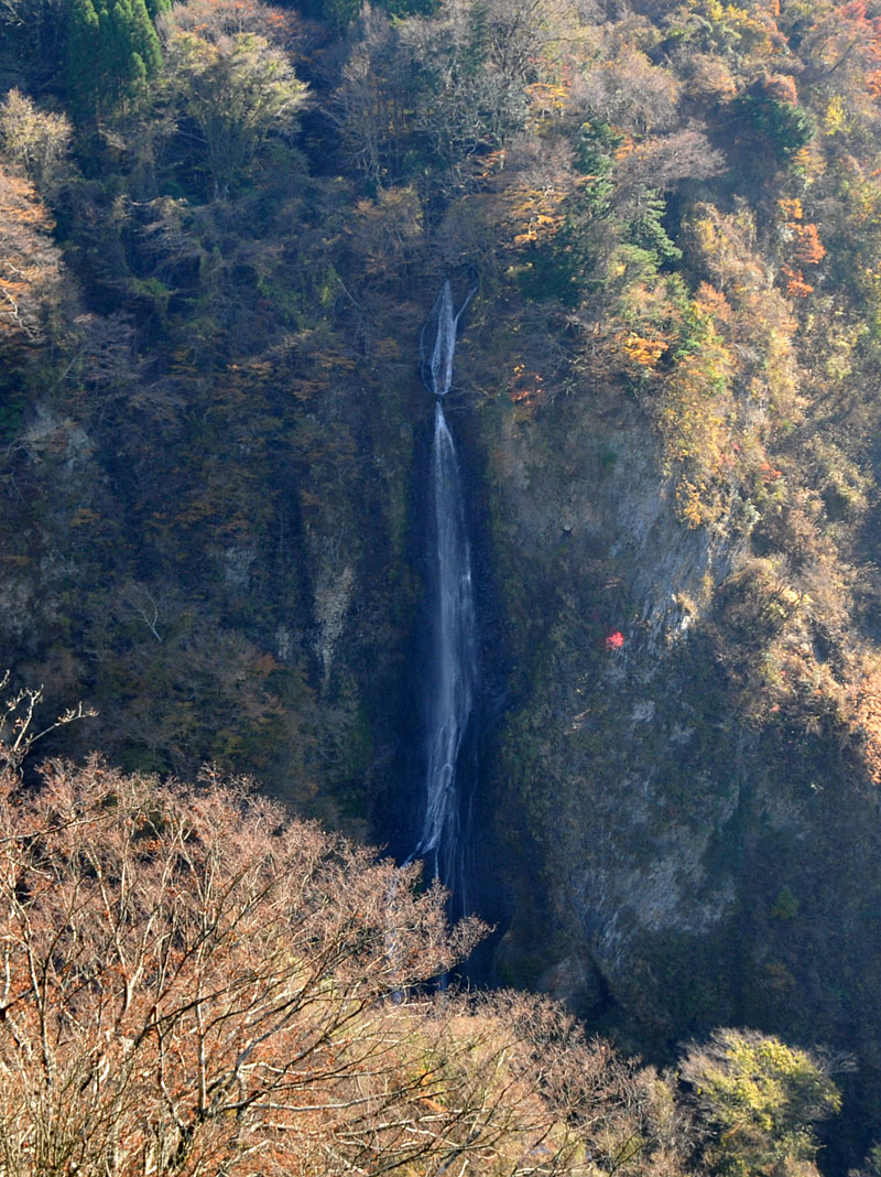 湯布院~九重夢吊り橋~日田の旅_a0042310_2113654.jpg