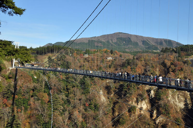 湯布院~九重夢吊り橋~日田の旅_a0042310_2151942.jpg