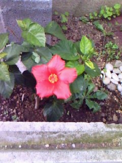 c0128710_22114045.jpg