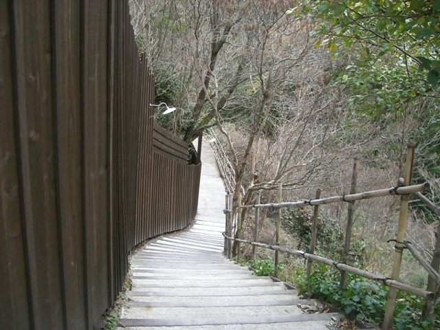 b0137913_2244975.jpg
