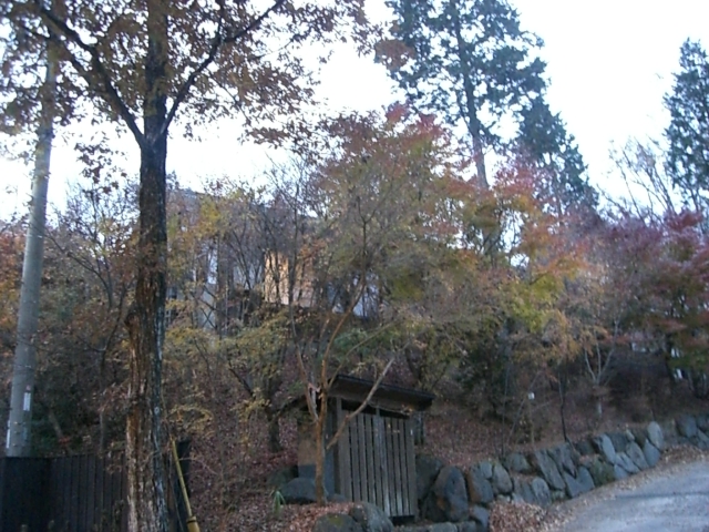 b0137913_2273786.jpg