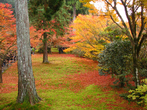 紅葉満喫　三千院2_e0048413_2156455.jpg