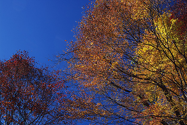 b0010915_23394960.jpg